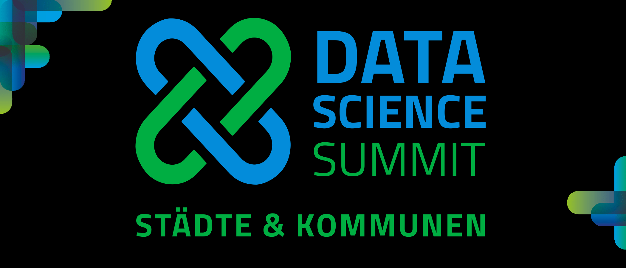Data Science Summit Logo