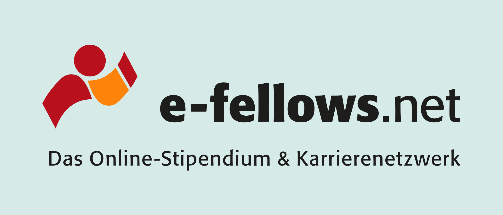 e-fellows.net